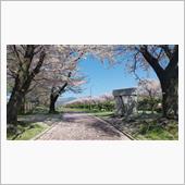 花のいのちは短くて、ポタリン ...