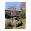 太夫を偲ぶ寺