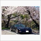 桜ぶらいぶ　チェリーロード