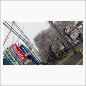 桜より団子(その５)