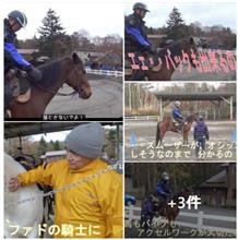 『乗馬』も「バイク」と同じで、常にテンションが、かかっている事が大切なんだね　🐎