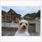 土曜日の業務完了しました🐶