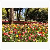 横浜公園