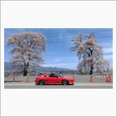桜とMR2GT