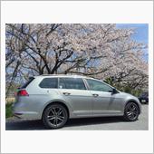 さよなら桜