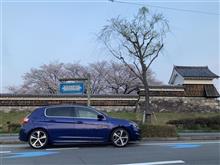 花見Drive 2024春