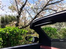 S660君でお花見ドライブ