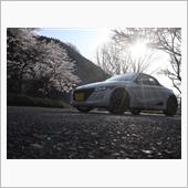 桜をバックに愛機エス(min ...