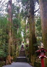 箱根神社めぐり