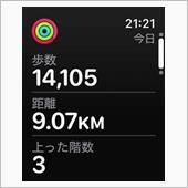 いつもの徘徊