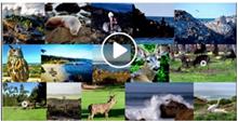 カリフォルニア州モントレー半島 羨望の17マイル・ドライブ　撮影動画　📺