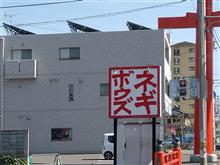 春というには少しだけ早かった愛媛で代表取乱役は何を見たのか?