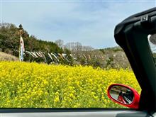 【ホンダビート】平日惜桜ソロTRG