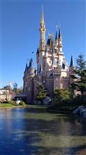 ㊗️ディズニーランド４１周年🎉