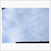 ４月１６日　ネムダル継続中な ...