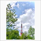若葉が彩る東京タワー