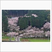 2024/4/6　廣峯神社の ...