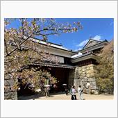 桜吹雪の上田城