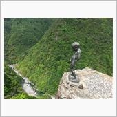 徳島県ハイドラCP緑化コンプ ...