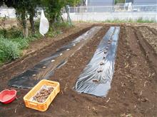 作業メモ 作業メモ