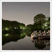 夜の井の頭公園も良いです😊