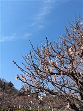 袖ケ浦公園