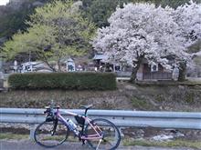 車と自転車の保険 