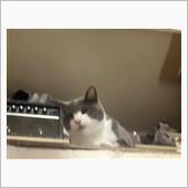 維持乗り