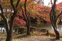 日本の四季から春と秋が消えつつあるのは事実か、❔＼(^_^)／。