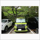 タントでランチドライブと前方 ...