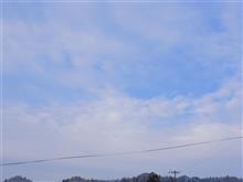 ４月２１日　穏やかな天気になりそうな日曜日、おはよ～♪