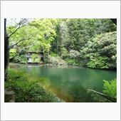 春の日、鎌倉湖行きで・・・・。