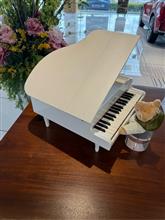 レクサス宇治にて、初めまして✨ レクサス宇治にて、初めまして✨