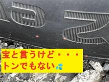 宝と言う名前が付いているが、トンでもない😥