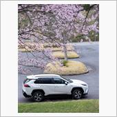 RAV4車検で フェラーリ  ...
