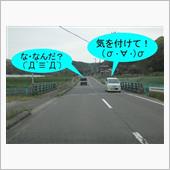 暖かくなると・・・　(((( ...