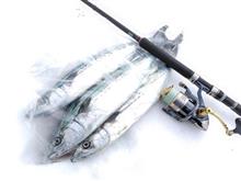 ☆2024.1-2月 釣果☆