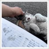 雨の日わパーツリストの読書。 ...