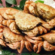 トゲクリガニ🦀に注意⚠❓