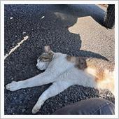 重くなったクルクルウィンドウ