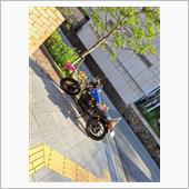 久しぶりに愛車ボルティー🎵
