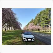 静内20間道路桜並木＆浦河優 ...