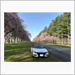 静内20間道路桜並木＆浦河優駿さくらロードで桜見物に🌸