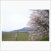 2024 桜　～ 風景編 ～