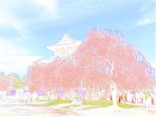 🌸🏯春の花園巡りNo.4『弘前さくらまつり 前編』🏯🌸