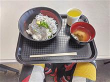 生しらす