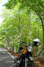 R252冬季閉鎖解除