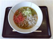 狂人のSA備忘録264西湘バイパス西湘(せいしょう)　上り