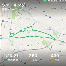 近所をウォーキング「玉川上水」