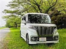 こだま千本桜にてデイ・キャンプ🪵